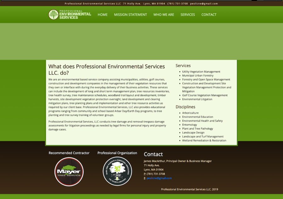 PES LLC old website before the rebuild